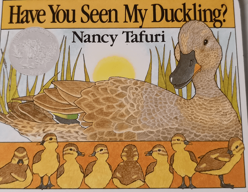 Can You Store Duck Feather Blankets in a Vacuum?