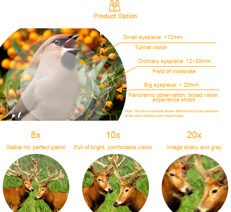 How to Harvest the Fur of Duck Down Comforters for Optimal Beauty? A Comprehensive Guide