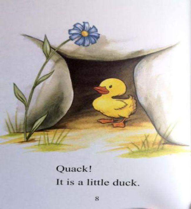 Title: Where to Find Cute Little Duck Down Quilts in Qionghai?