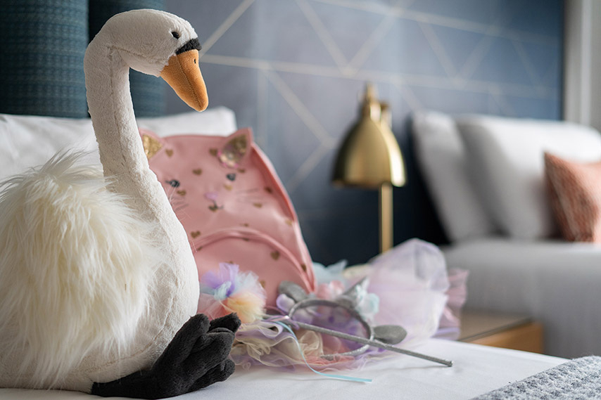 Title: The Unique Beauty of Duck绒被贝壳