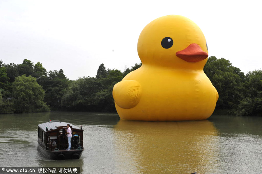 Title: The Unique Warmth of Hangzhou Duck Feather Blankets