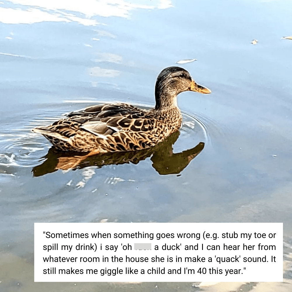 Title: The Art of Manufacturing Mop Duck Down Quilts