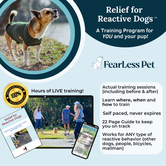 Title: Dealing with Dog Urine on Down Comforters: A Comprehensive Guide