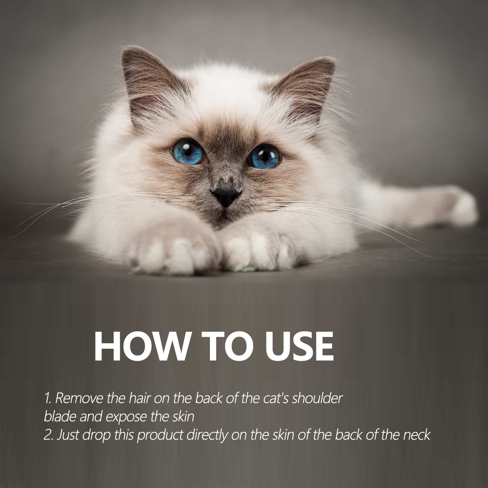 Title: Is it Adequate to Use Duck Down Blanket for Your Kitten? A Comprehensive Guide