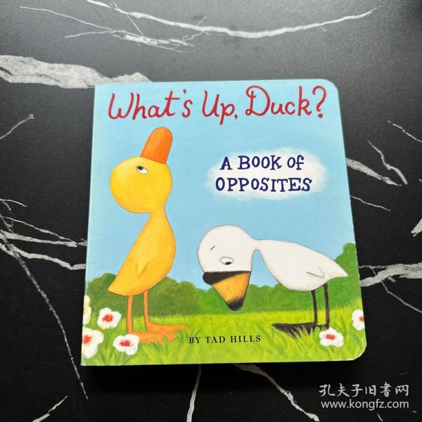 Where to Get Your Duck Down Comforter Swapped or Upgraded? A Complete Guide