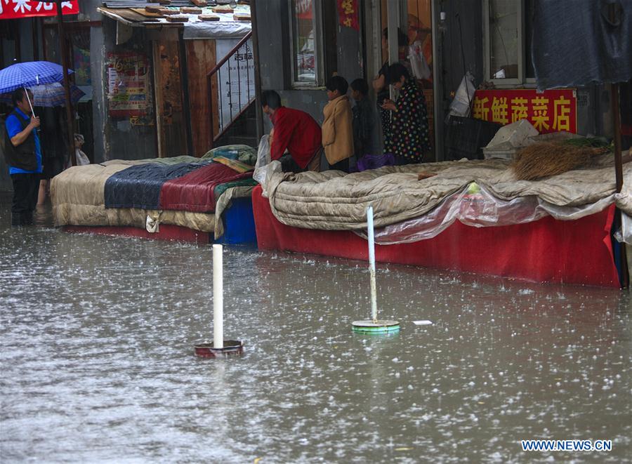 Title: The Down Comforter at Tianlong Market