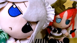 Title: The Rise of Duck Feather Duvet Celebrities