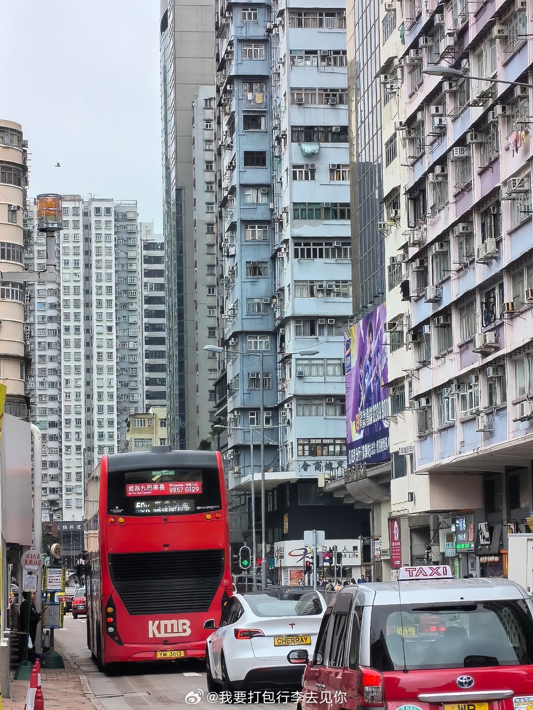 Title: Understanding the Price Range of Down Comforters in Yangtze District, Hongkou