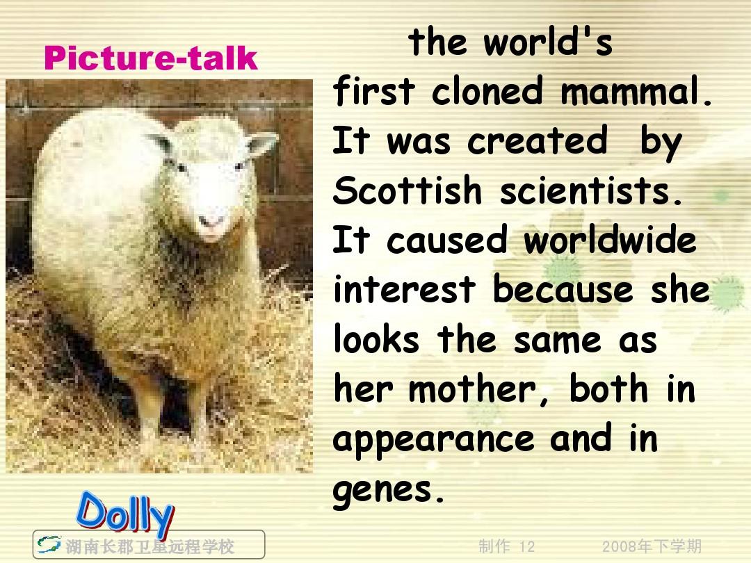 Title: Understanding the Differences Between Sheep Milk and Duck Down Blankets