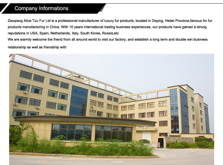 Title: The Story of Hefei Duck Feather Comforters Factory