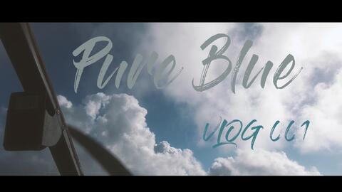 The Blue Pure White Duck Feather Duvet