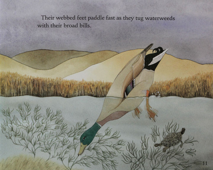 Title: How Does Duck Down Blanket Get Wet? What Happens if It Gets Soaked?
