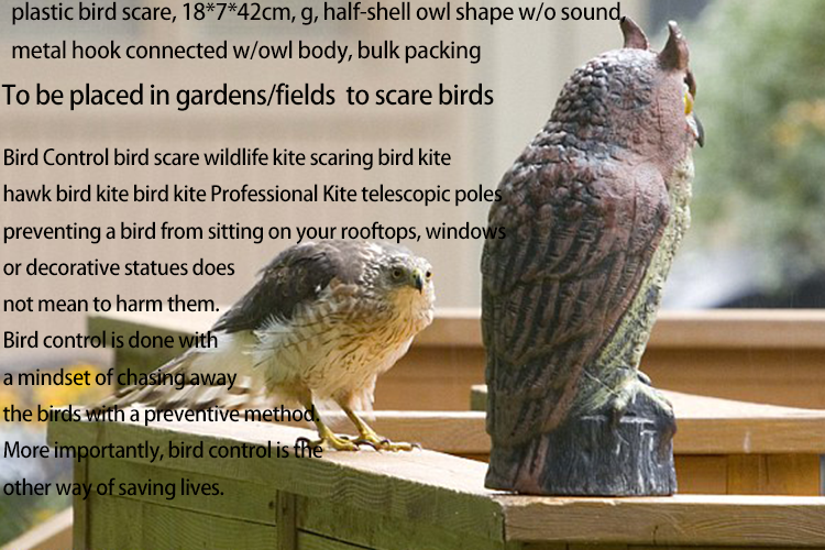 Title: How to Deal with Bird Particles in Down Comforters?