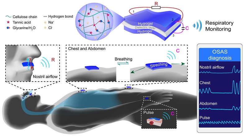 Title: Unraveling the Enigma of Authentic and Heavy Down Sleeping Pads: A Review