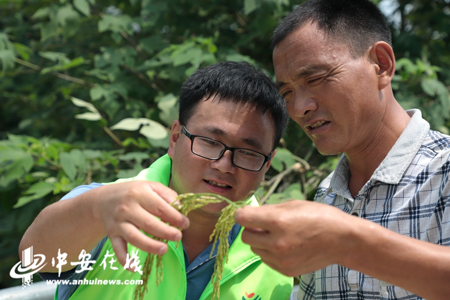 Title: The Unique Warmth of Anhui Baiya Feather-Filled Quilt