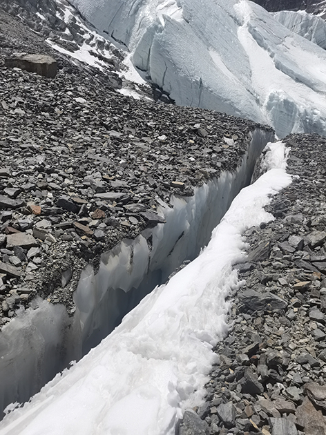 Title: The Story of Wuhans Iceberg Down Duvet