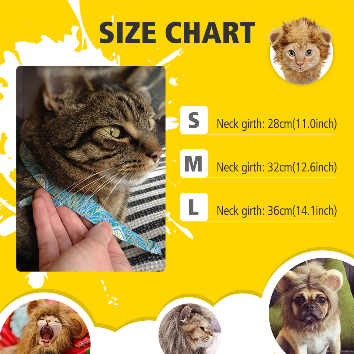 Can Cats Wear Duck Feather Quilts? Exploring the Implications of a Furrys Sleeping Quarters