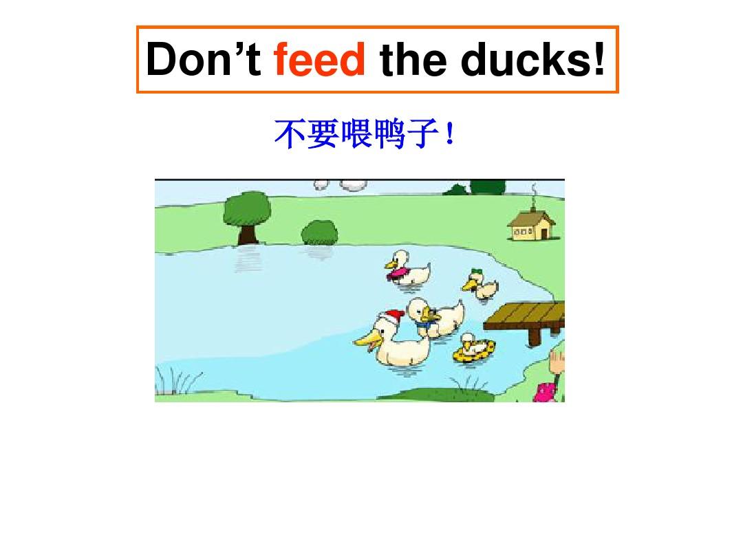 Title: Is the Duck Down Student Dormitory Special quilt Good?