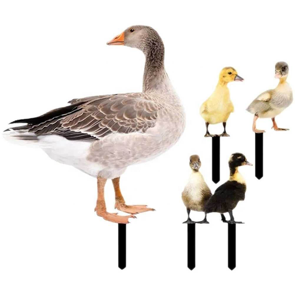 Title: The Swan Brand Duck Feather Comforter: A Winter Warmth Essential