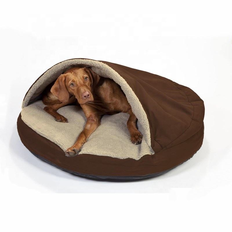 Title: The dogs down blanket