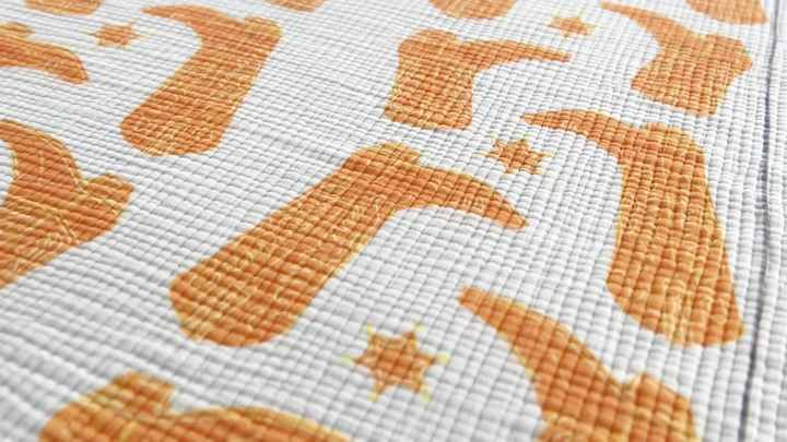 Title: The Processing of Lanzhou Duck Feather Blankets