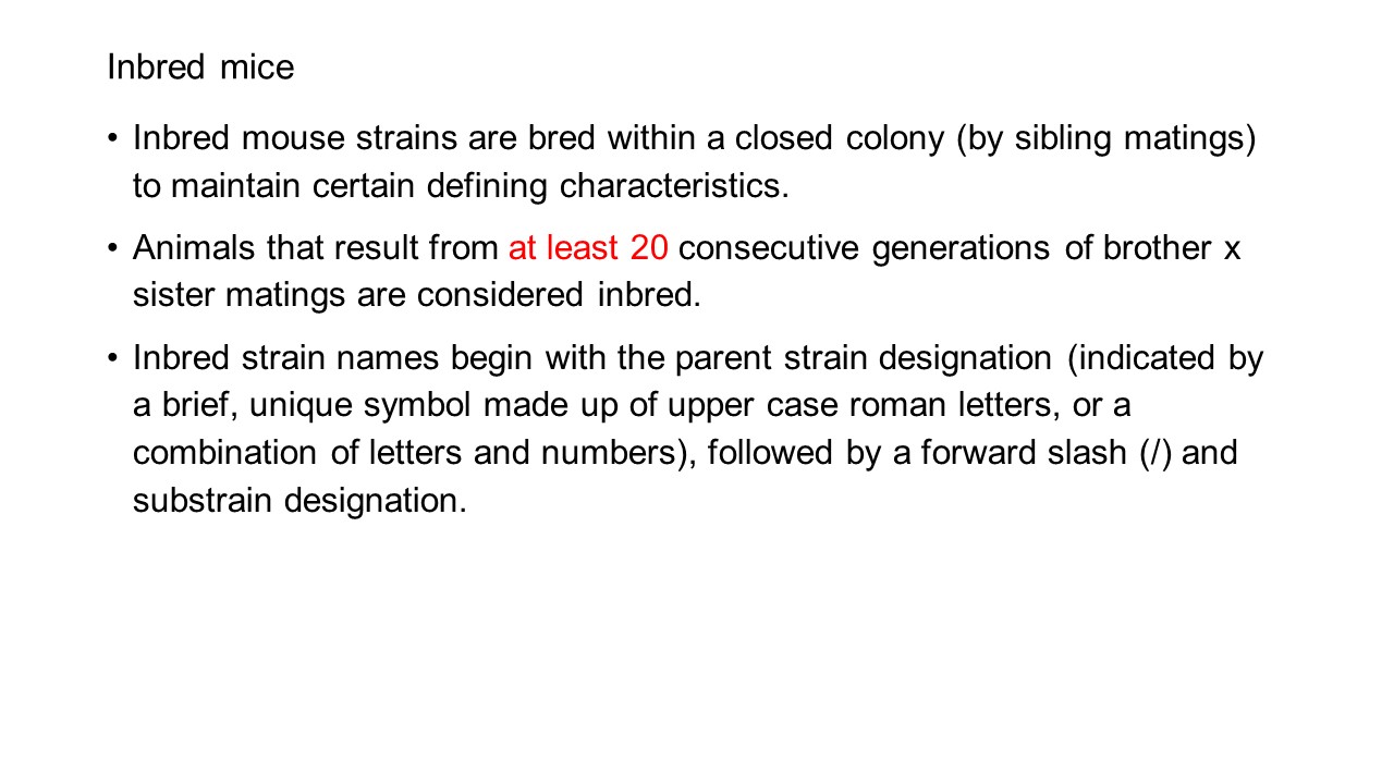 Title: Can an Anti-Mite Device Remove Mites from Down Blankets? A Video Review