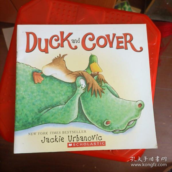 Title: The 30-Degree Duck Feather Duvet