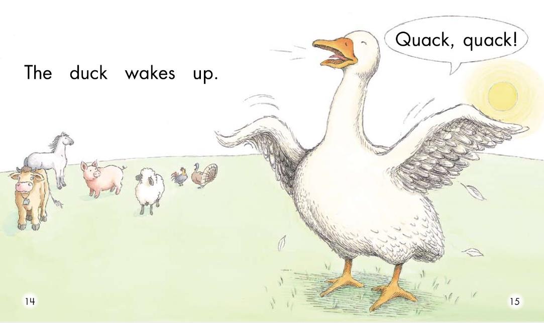 Title: Is the Washing Method of Sheep Blankets the Same as Duck Down Blankets?