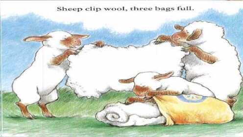 Title: Is the Washing Method of Sheep Blankets the Same as Duck Down Blankets?