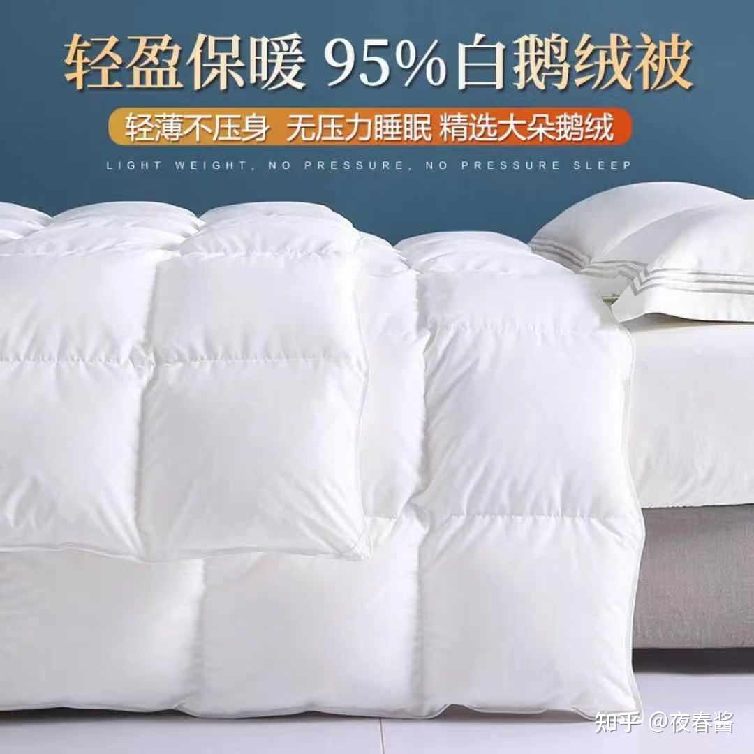 茜茜里精品白鸭绒被，价格解析及其优质特性探讨