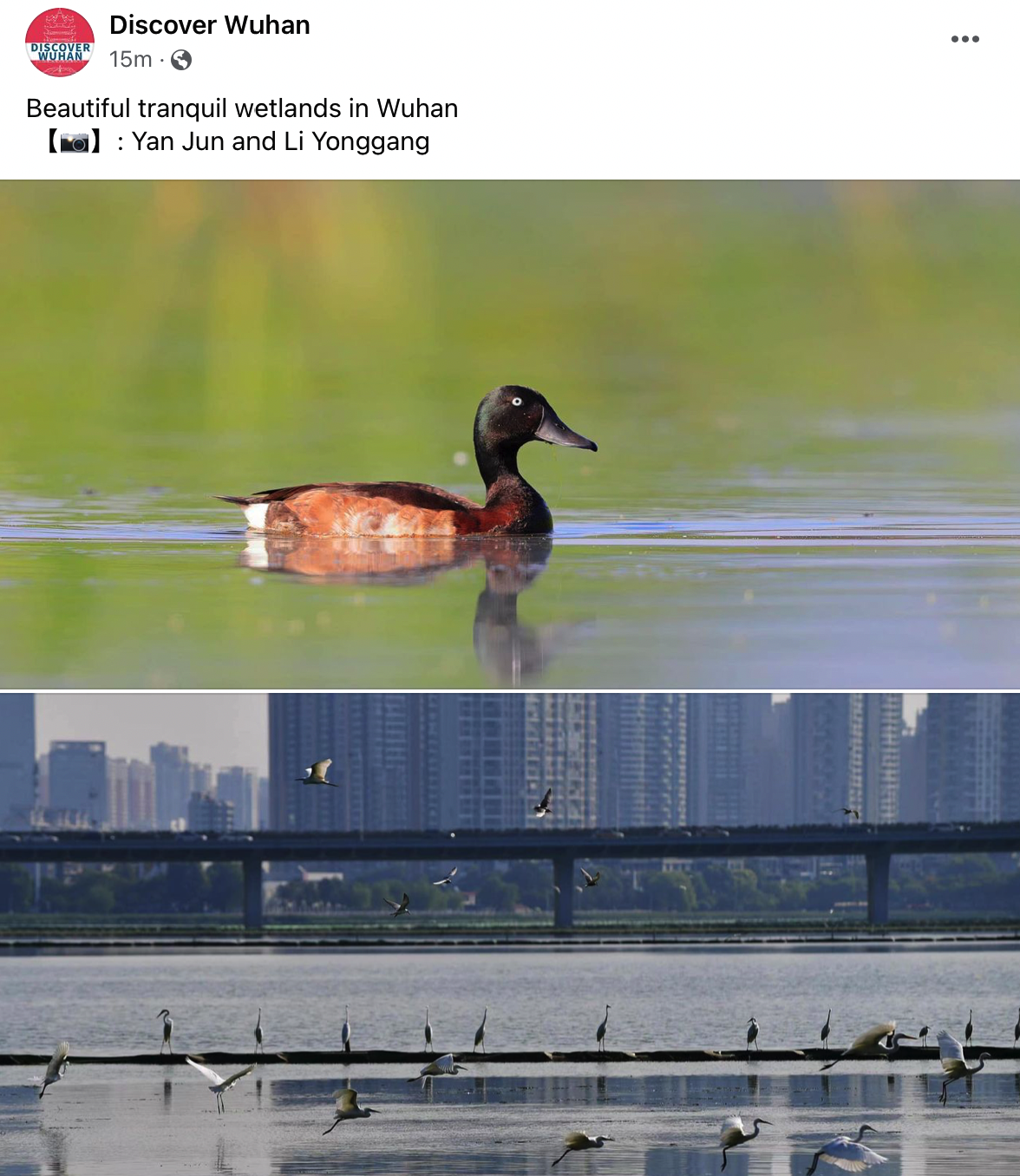 Title: Where to Find the Reupholstered Duck Down Quilt Manufacturers in Nanchang City