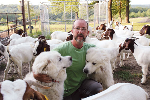 Title: The Debate on Down Comforters and Sheepskin Comforters in the South