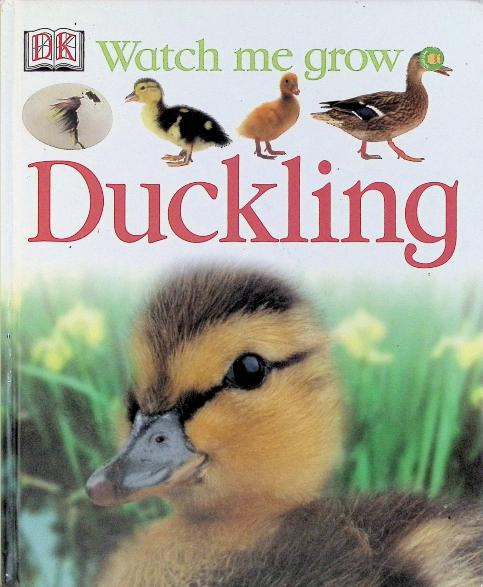Title: The Little Wild Ducklings Down Comforter