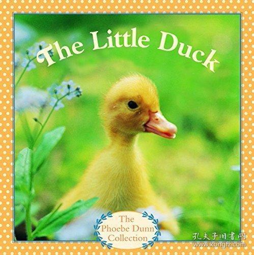 Title: The Little Wild Ducklings Down Comforter