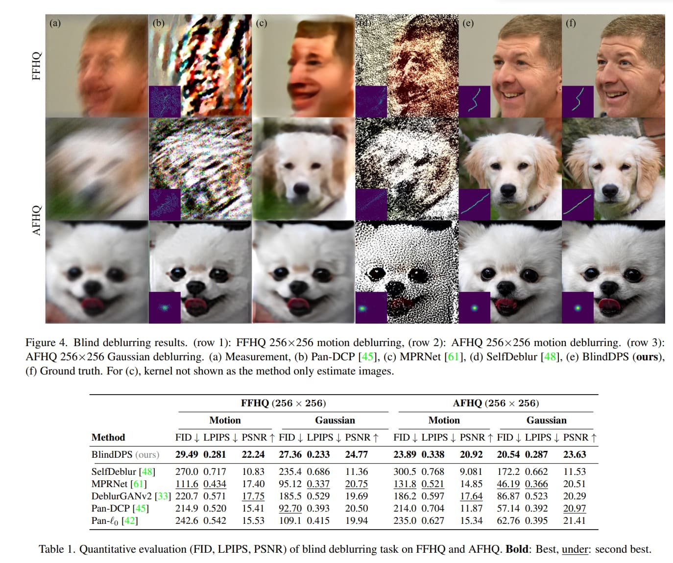 Title: Is the Simba Live Streaming Dog Hair Quilt True? - A Comprehensive Analysis
