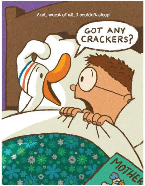 Title: The Leidenscootte Duck Feather Duvet