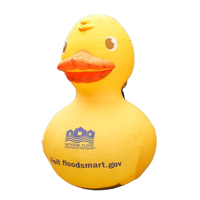 Title: Jiangsu Duck Feather Comforter Prices