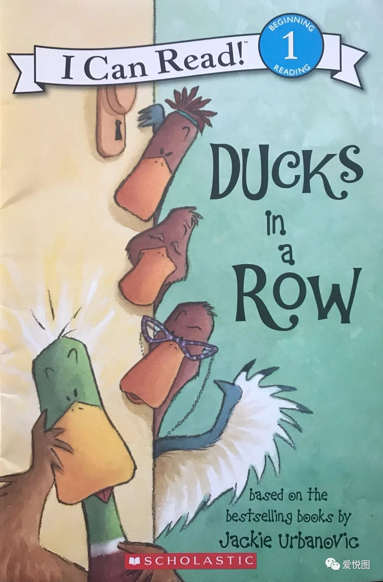 Title: The Answer to the Reading Question about Duck Feather Blankets