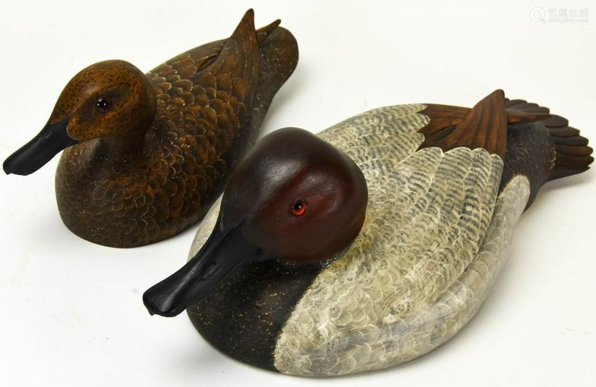 Title: The 90-Degree Duck Feather Comforter: 2 Pounds of Warmth