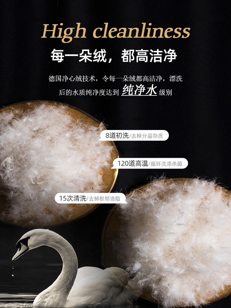 Title: The枣庄鸭绒被Price Trend