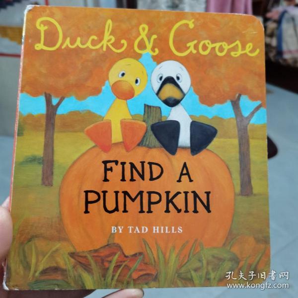 Title: Where to Find Duck Feather Comforter Remodeling Services