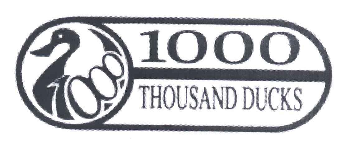 Title: The 10000-Yuan Duck Feather Blanket