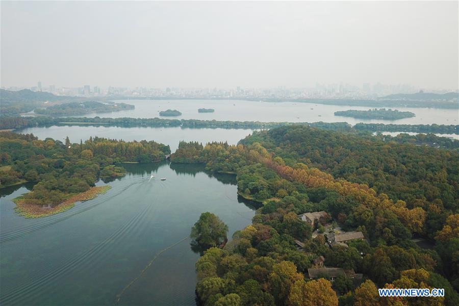 Title: The Unique Charm of Zhejiang Huzhou Down Duvet