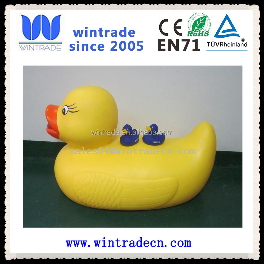 Title: Duck Feather Pillow Mould Problem