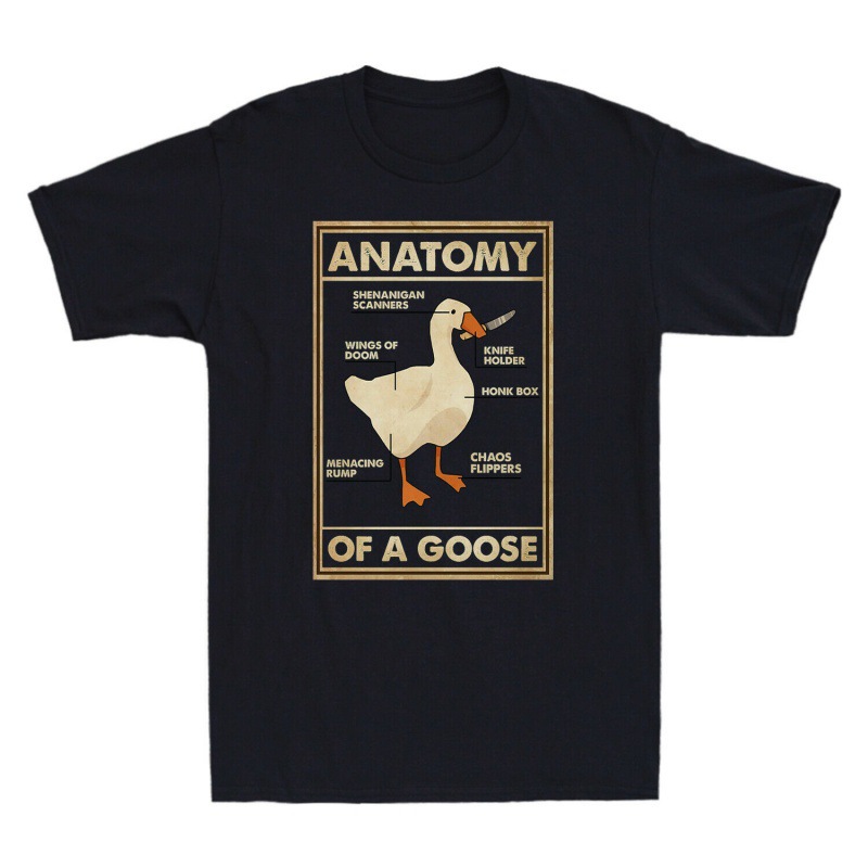 Title: The Amazing Goose Down Comforter