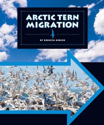 Title: The Arctic Tern and Its Remarkable Journey