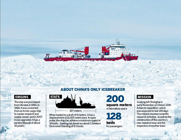 Title: The Arctic Tern and Its Remarkable Journey