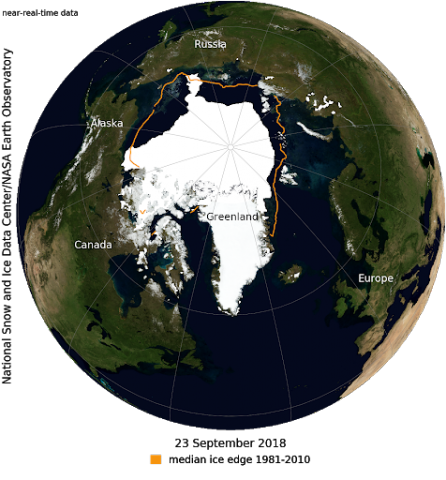 Title: The Arctic Tern and Its Remarkable Journey