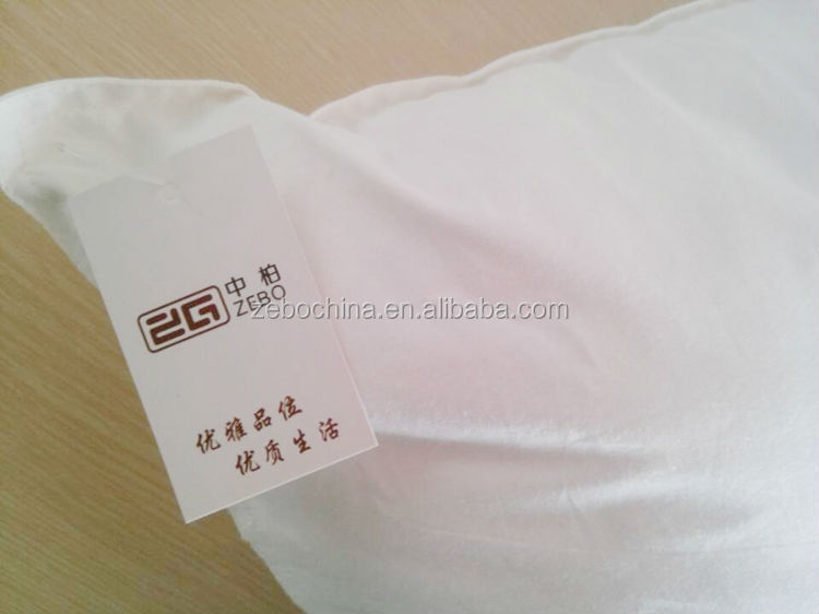 Title: The 100 Yuan Duck Feather Blanket