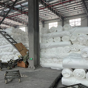 Title: The White Duck Feather Blanket Factory in Suzhou